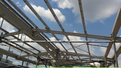 Sigmund__Freud's profile picture. 最西端の君に会いに行く