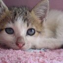 marlyn hernandez - @tentenhernandez - Twitter