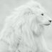 the great ARWA .. (@arwaaltamimii) Twitter profile photo the great ARWA .. (@arwaaltamimii) Twitter profile photo