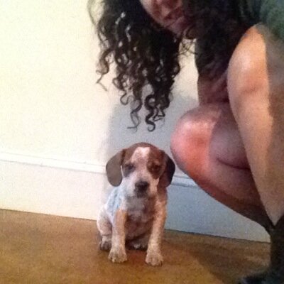 tini_colette's profile picture. 