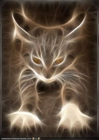 DonGhostcat's profile picture. 