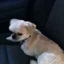 gummymason's profile picture. 