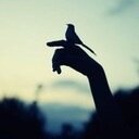أكتب لتحيا بعض الأشياء ، وأكتب لتموت بعضاً منها