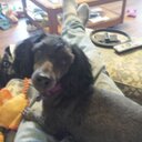 Donald Thomas Prew - @papadon72 - Twitter