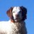 HutchBDX's profile image