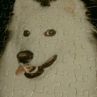 EZ Smith (@ezrocks0011) 's Twitter Profile Photo EZ Smith (@ezrocks0011) 's Twitter Profile Photo