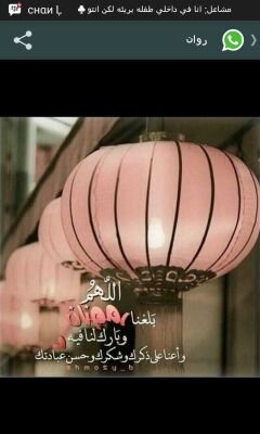 ooooosssssxp8's profile picture. 