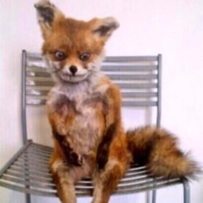 eeyoreporky's profile picture. #bb22