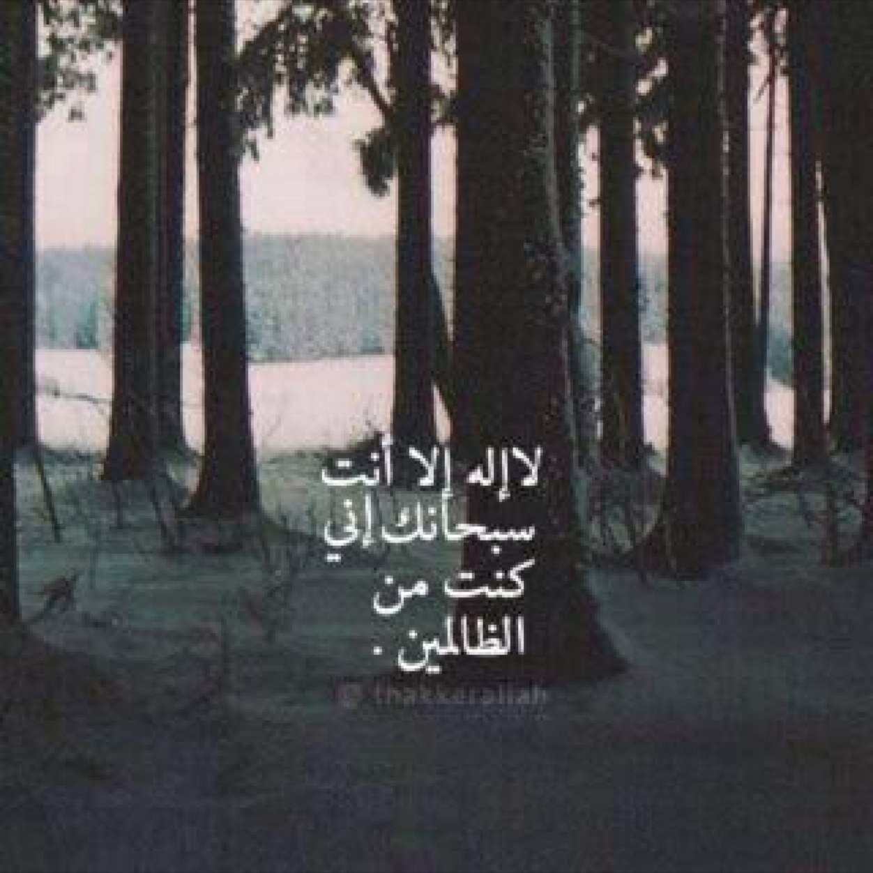 الصداقه معك حياه تشبه الجنّه @shruiva__z ..