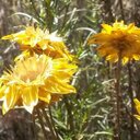 Kate Hosking - @KateHosking - Twitter