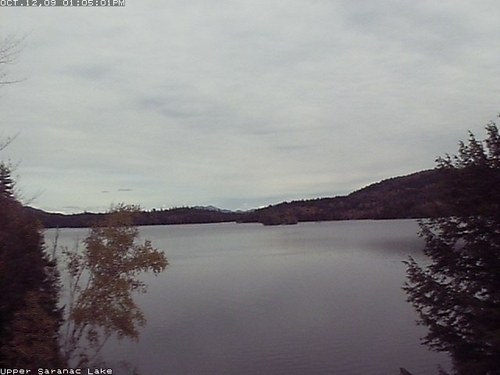 proftanda's profile picture. 