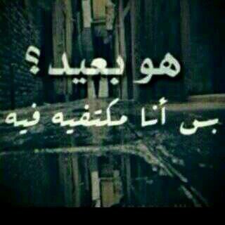 7ilAm Profile Picture