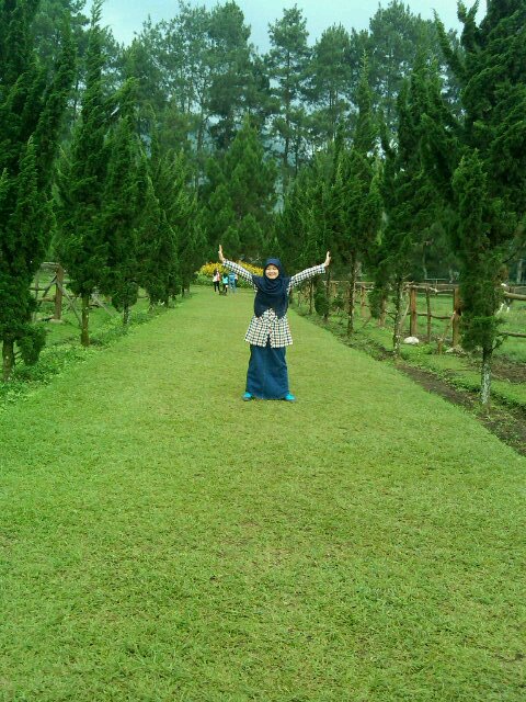 Founder @MudaBersedekah - CreativePsychology
