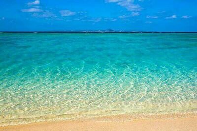 jg15cs2s's profile picture. ジュンスとSixTONESが好きです(*˘︶˘*).｡.:*♡