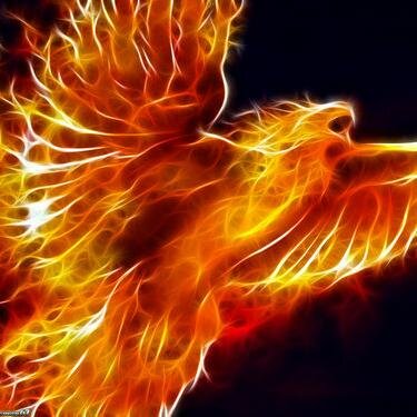 dyung_kingb's profile picture. I'm just a young God looking for a Goddess bust it baby