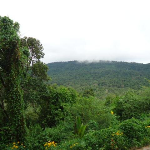 PenSasda's profile picture. 