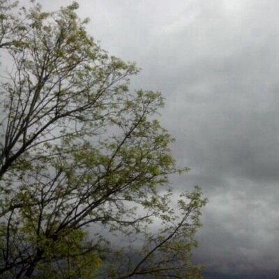 Juicebloke's profile picture. ⠀⠀⠀⠀⠀⠀ ⠀ ⠀⠀⠀ ⠀⠀⠀ ⠀⠀⠀⠀ ⠀⠀ ⠀⠀ ⠀⠀ ⠀ ⠀⠀⠀ ⠀⠀to fail is to never try