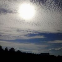 Deondrea Wilson (@amldl6) 's Twitter Profile