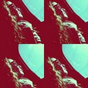 I ♥ Argentina *w* (@011Camilita) Twitter