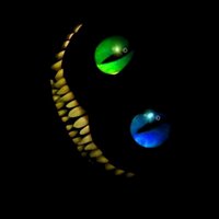 DerKatzenfuerst (@derkatzenfuerst) Twitter profile photo