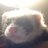 goolions's profile image