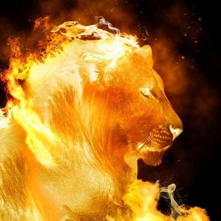 blackbuggaman's profile picture. Me the Last Wonder of the World