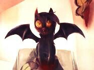 mlp_skybound's profile picture. hi guys I am ultimate bronys new account