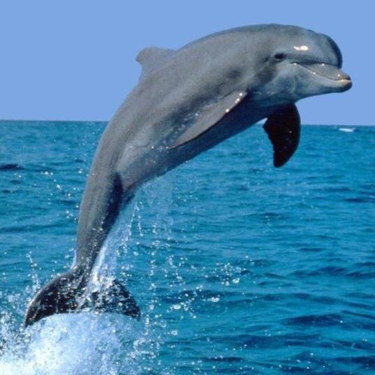 Ludmitl's profile picture. 