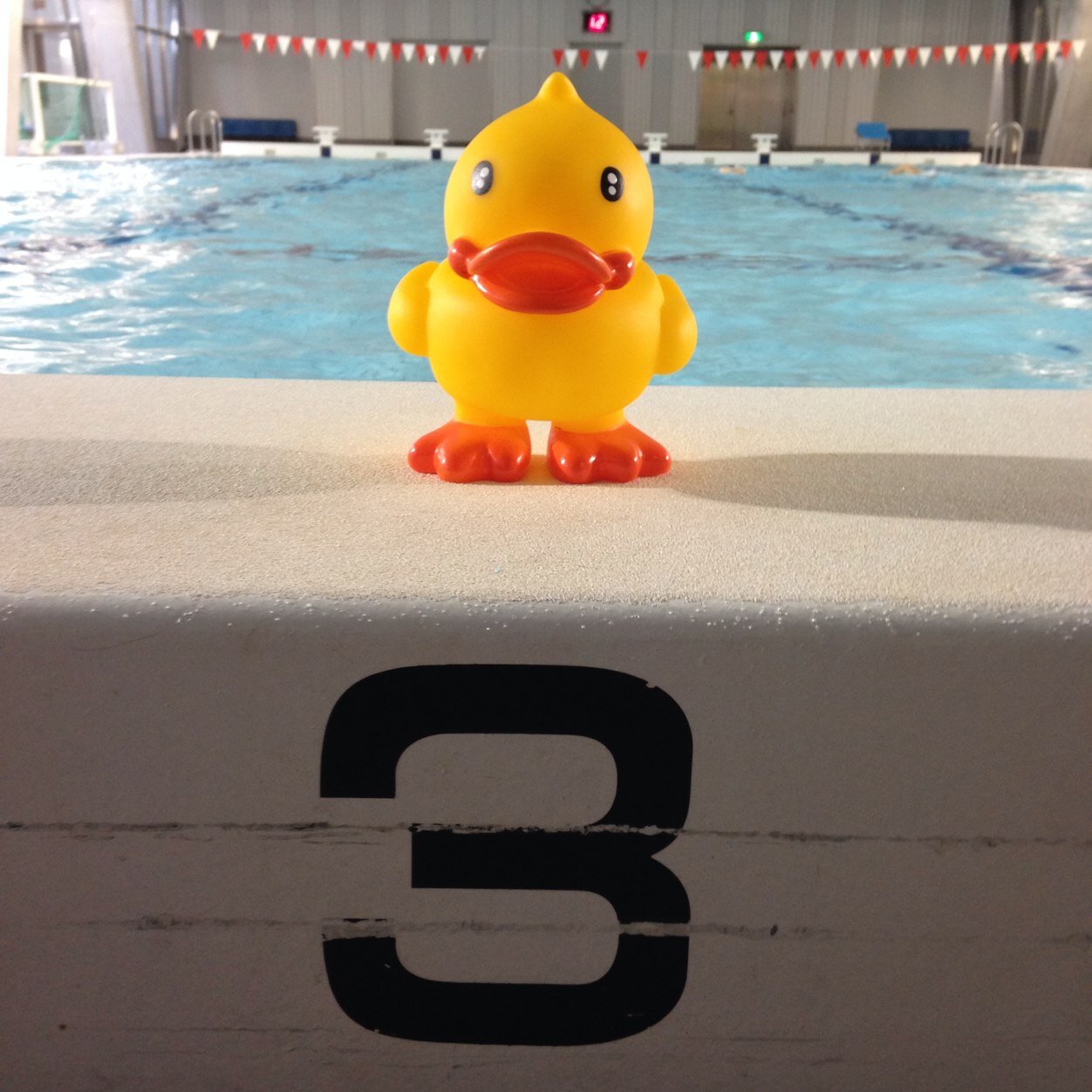 武蔵大学 水泳部 Musashisuiei Twitter