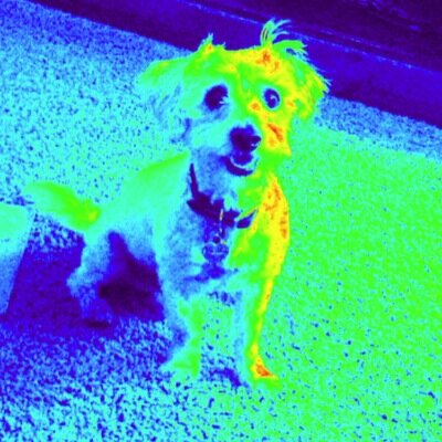 mklassics's profile picture. 