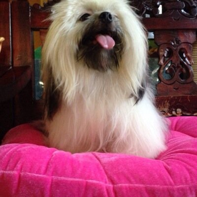 Cute po ako.
