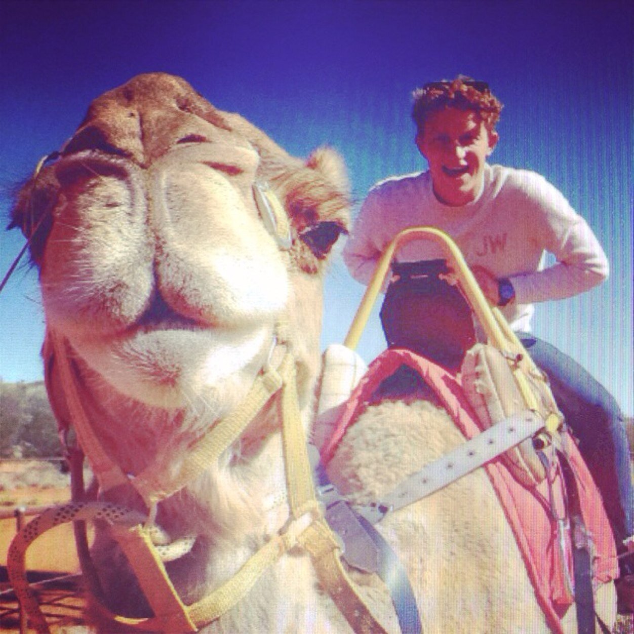 igeorgestephens's profile picture. 