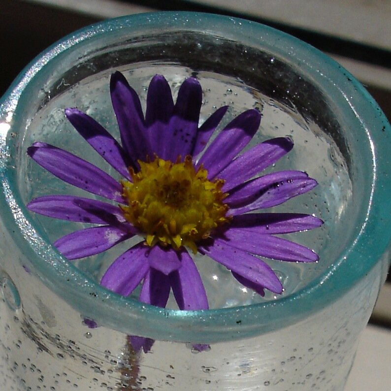 QuirkyAliveness's profile picture. Biking thru out-dated habits. Things I find. I love snail mail. Nothing like hanging at a pulsating café