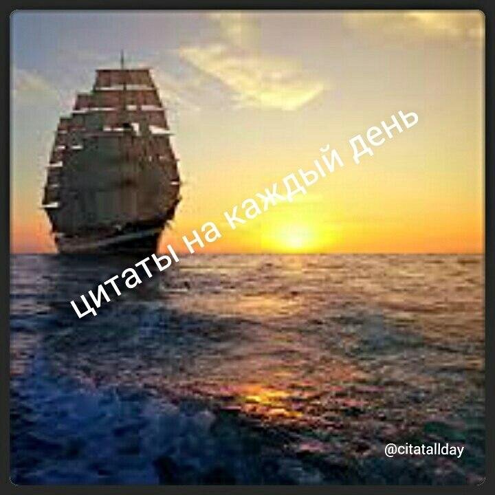 citatallday's profile picture. 