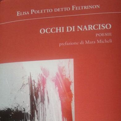 Elisa PdF ha studiato filosofia, scrive poesie, ultimo nato #OcchiDiNarciso, LVF.