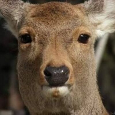 りゅう∞