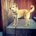 Leslie zhao (@1029418448_zhao) Twitter