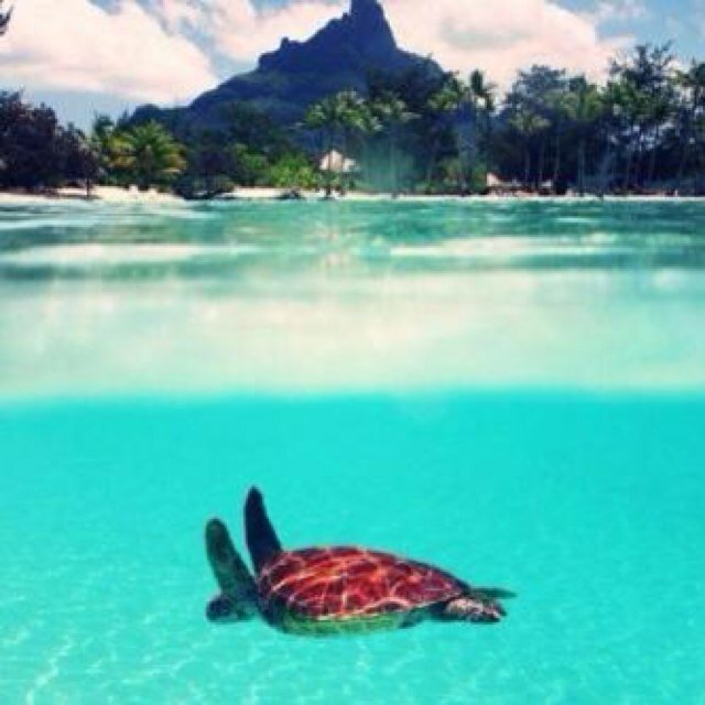 2014_assh's profile picture. S M S