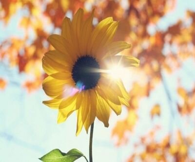 언제나 바른마음을 가지고 하늘을 향해 걷고싶음 ♡