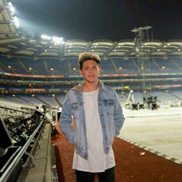 DIRECTIONER // 4 years of being a fan // niall horan