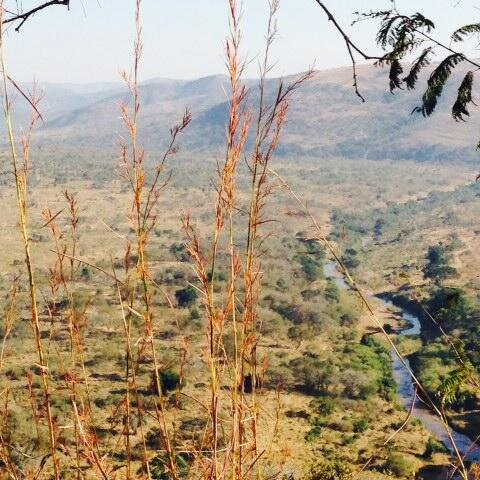 HluhluwWildlife's profile picture. Hluhluwe wildlife sightings updated daily. For daily photos find us on  Instagram (hluhluwewildlife)