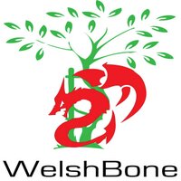WelshBone (@welshbone) 's Twitter Profile