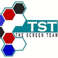 The screen Team(@TST_gauteng) 's Twitter Profile Photo