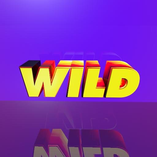 DJS DUO & PRODUCERS | @BVNKZ + @TheWild_Dj = @WILDBVNKERZ | Contact: wildbvnkerz@gmail.com