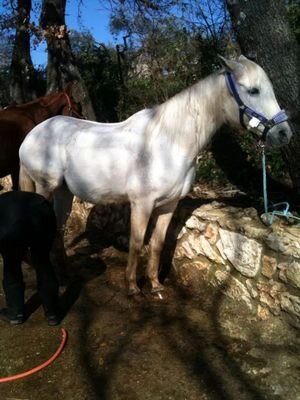 GruppoecsRoma's profile picture. ...ao'!