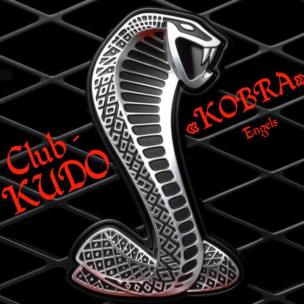 KUDOEngels's profile picture. 