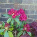 Stella Chamberlain - @chamber10960828 - Twitter