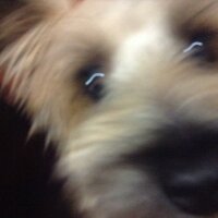 だいじまる (@daijimal) Twitter profile photo