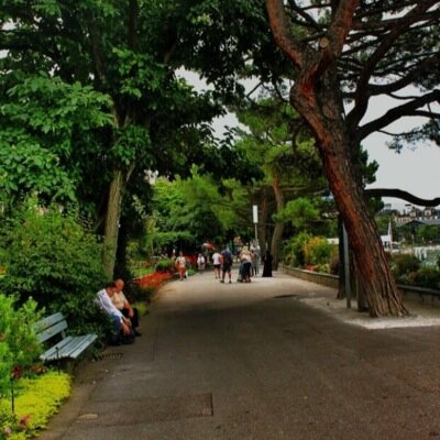 vbbb81's profile picture. غروري سرّه بشعري لآني شاعر الميدان أنا ابن العزيز اللي على العزه مربيني