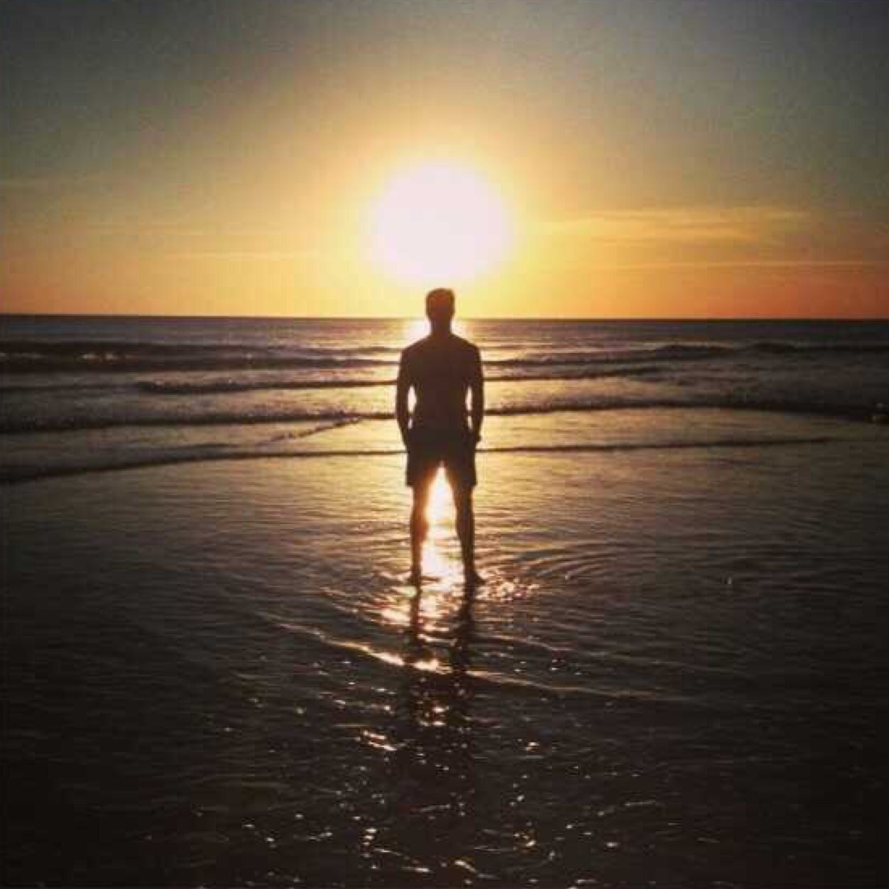 rrgrrd's profile picture. 